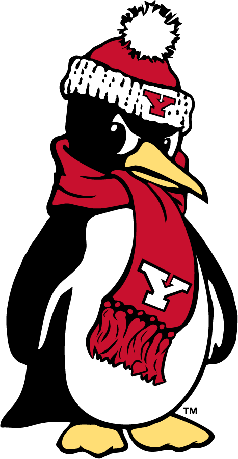 Youngstown State Penguins 2018-Pres Secondary Logo v4 diy iron on heat transfer